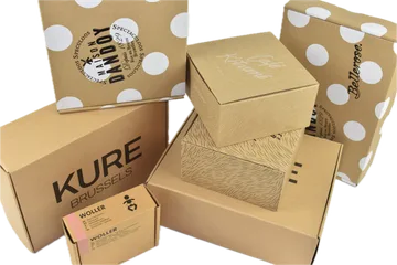 Entrega expressa Caixas em Zwijnaarde BE